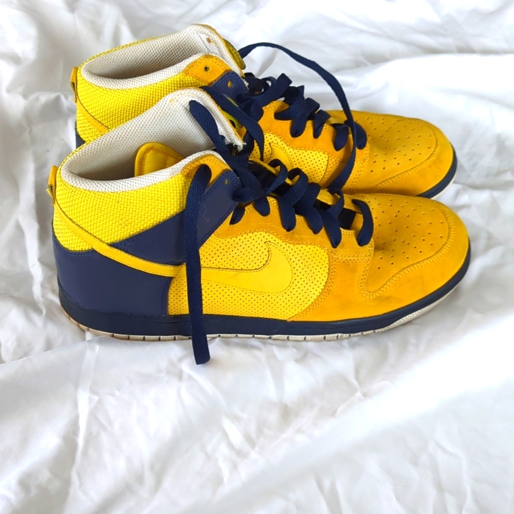 Nike Dunk Michigan